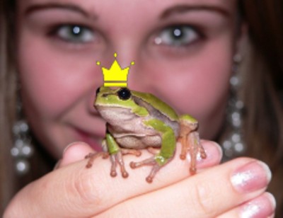 Hogyan legyen a tökéletes network MLM-királyfi a tiéd?